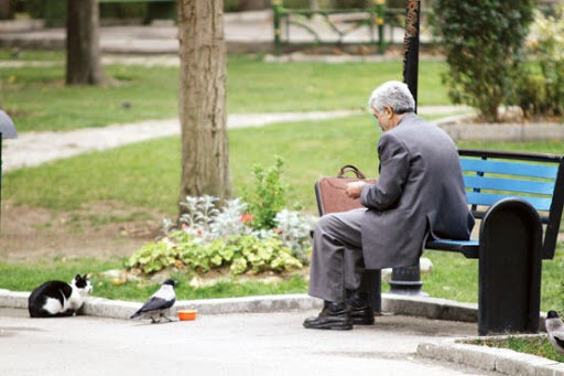 دومین سطح از ارتباطات، ارتباط با محیط در دوران پیشکسوتی(بازنشستگی) چیست؟